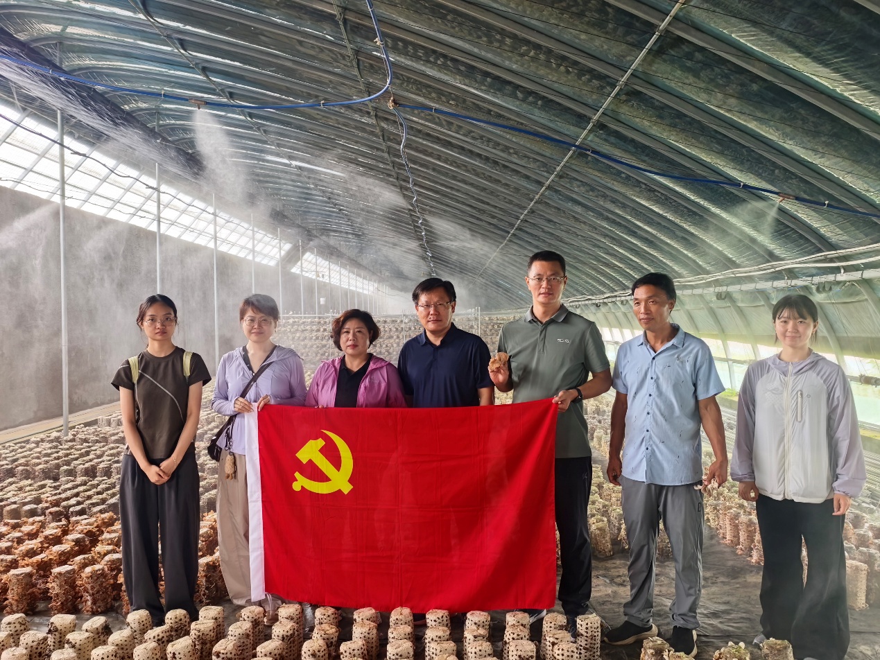 暂无图片
